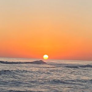 Meet your Posher, Bradley